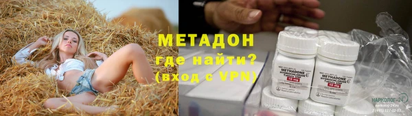 прущие грибы Саяногорск