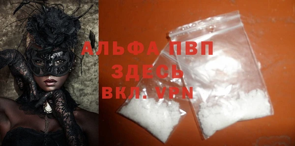 прущие грибы Саяногорск