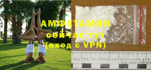 дмт Сатка