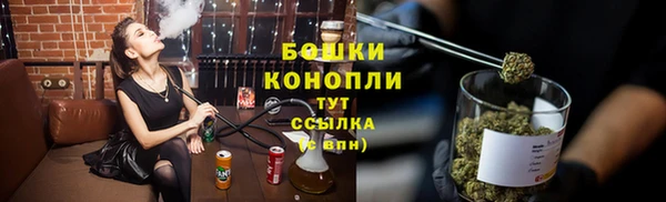прущие грибы Саяногорск