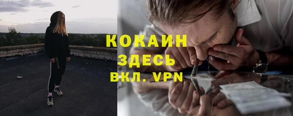 дмт Сатка