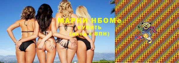 прущие грибы Саяногорск