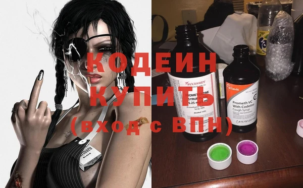 прущие грибы Саяногорск