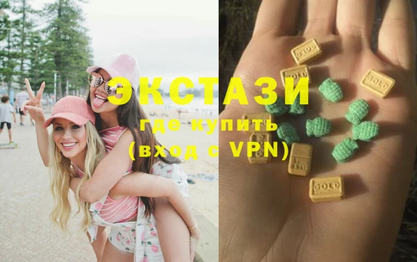 прущие грибы Саяногорск