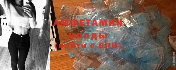 прущие грибы Саяногорск