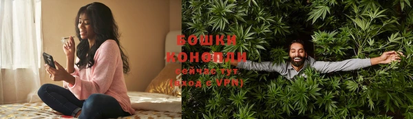 шишки Сафоново