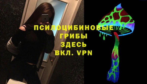 шишки Сафоново