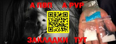СК Гатчина