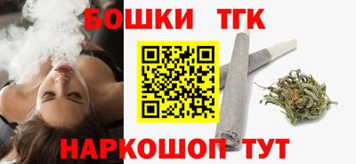 СК Гатчина
