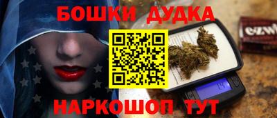 СК Гатчина