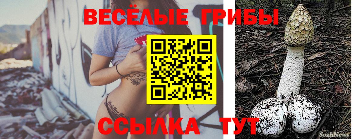 Сорочинск  Галлюциногенные грибы мухоморы  Вход с VPN 